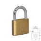 Candado Latón Arco Normal 25 mm. Candado Latón Arco Normal 25 mm.