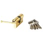 Cilindro WOLFPACK Seguridad 30x40/15,0 Latonado 5 Llaves Cilindro WOLFPACK Seguridad 30x40/15,0 Latonado 5 Llaves