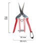 Tijeras Chikamasa Recolectora T 552 185 mm. Tijeras Chikamasa Recolectora T 552 185 mm.
