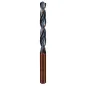 Broca Alpen Hss Sprint Master Diámetro 6,00 mm. (Blíster 2 piezas) Broca Alpen Hss Sprint Master Diámetro 6,00 mm. (Blíster 2 piezas)