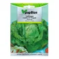 Semillas Lechuga Reina De Mayo (7 gramos) Semillas Verduras, Horticultura, Hortícola, Semillas Huerto. Semillas Lechuga Reina De Mayo (7 gramos) Semillas Verduras, Horticultura, Hortícola, Semillas Huerto.