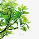 Etiqueta Marcadora Plástico Para plantas Bolsa 250 Unidades
