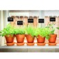 Etiqueta Marcadora Madera Con Efecto Pizarra Para plantas Bolsa 10 Unidades Etiqueta Marcadora Madera Con Efecto Pizarra Para plantas Bolsa 10 Unidades
