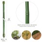 Tutor Varilla Bambú Plastificado Diámetro 8 - 10 mm. x 60 cm. (Paquete 10 Unidades)