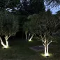 Aplique Foco Solar LED Exterior IP65, 200 Lúmenes, Sensor Movimiento y Crepuscular, Foco Led Batería, Foco Solar Batería, Aplique Foco Solar LED Exterior IP65, 200 Lúmenes, Sensor Movimiento y Crepuscular, Foco Led Batería, Foco Solar Batería,