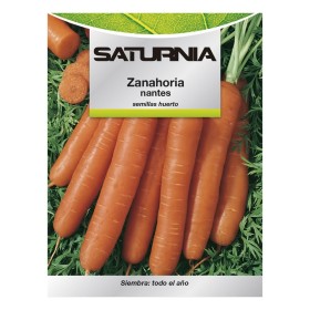 Semillas Zanahoria Nantes Temprana (7 Gramos). Semillas Verduras, Horticultura, Hortícola, Semillas Huerto.