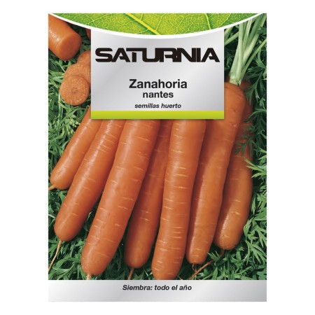 Semillas Zanahoria Nantes Temprana (7 Gramos). Semillas Verduras, Horticultura, Hortícola, Semillas Huerto.