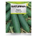 Semillas Pepino Marketmore (5 Gramos) Semillas Verduras, Horticultura, Hortícola, Semillas Huerto.
