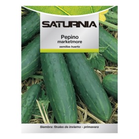 Semillas Pepino Marketmore (5 Gramos) Semillas Verduras, Horticultura, Hortícola, Semillas Huerto.