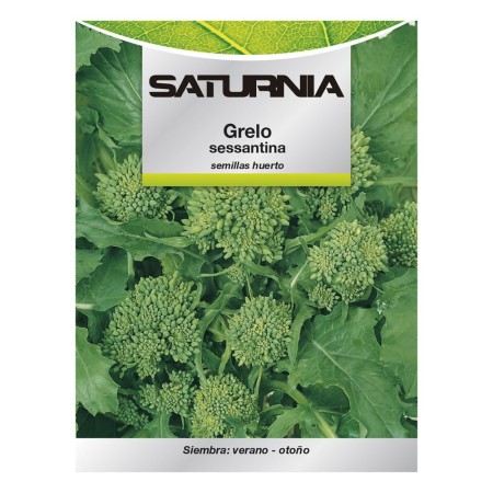 Semillas Grelo Brócoli (10 gramos) Semillas Verduras, Horticultura, Hortícola, Semillas Huerto.