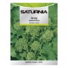 Semillas Grelo Brócoli (10 gramos) Semillas Verduras, Horticultura, Hortícola, Semillas Huerto.