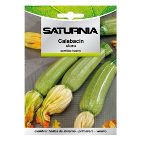 Semillas Calabacín Verde Oscuro (5 gramos) Semillas Verduras, Horticultura, Hortícola, Semillas Huerto.