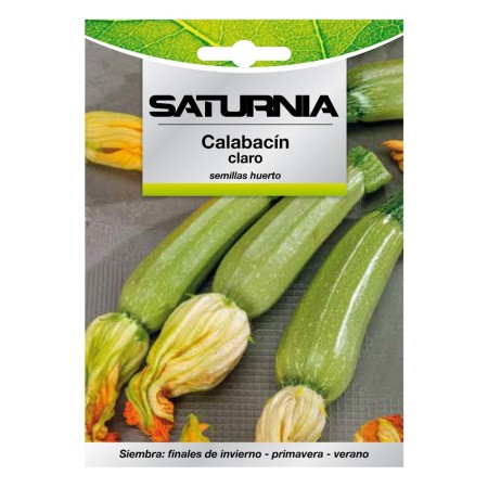 Semillas Calabacín Verde Oscuro (5 gramos) Semillas Verduras, Horticultura, Hortícola, Semillas Huerto.
