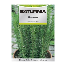 Semillas Aromáticas Romero (0.1 gramos) Horticultura, Hortícola, Semillas Huerto.