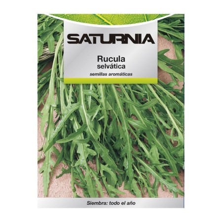 Semillas Aromáticas Rúcula Selvática (2.5 gramos) Horticultura, Hortícola, Semillas Huerto.