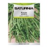 Semillas Aromáticas Rúcula Selvática (2.5 gramos) Horticultura, Hortícola, Semillas Huerto.