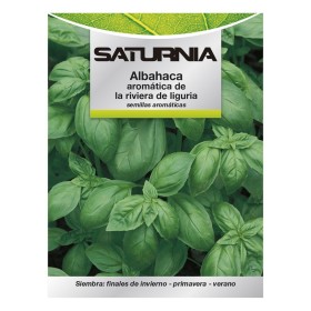 Semillas Aromáticas Albahaca Aromática (5 gramos) Horticultura, Hortícola, Semillas Huerto.