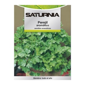 Semillas Aromáticas Perejil Aromático (8 gramos) Horticultura, Hortícola, Semillas Huerto.