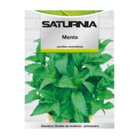 Semillas Aromáticas Menta (0.3 gramos) Horticultura, Hortícola, Semillas Huerto.
