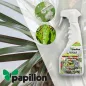 Propoleo Para Hongos y Bacterias 500 ml. Propolis, Fungicida Ecologico, Propoleo de abeja, (Permitido en agricultura ecologica) Propoleo Para Hongos y Bacterias 500 ml. Propolis, Fungicida Ecologico, Propoleo de abeja, (Permitido en agricultura ecologica)
