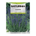 Semillas Aromáticas Lavanda (0.5 gramos) Horticultura, Hortícola, Semillas Huerto.