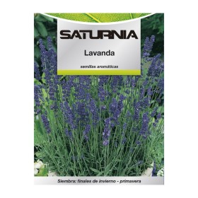 Semillas Aromáticas Lavanda (0.5 gramos) Horticultura, Hortícola, Semillas Huerto.