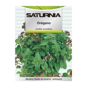 Semillas Aromáticas Orégano (0.3 gramos) Horticultura, Hortícola, Semillas Huerto.