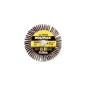 Abanico Lija Grano 80 Medida Diámetro 40 x 20 mm. Disco Abrasivo Laminas, Ruedas Mil Hojas Abanico Lija Grano 80 Medida Diámetro 40 x 20 mm. Disco Abrasivo Laminas, Ruedas Mil Hojas
