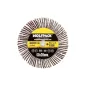 Abanico Lija Grano 40 Medida Diámetro 60 x 20 mm. Disco Abrasivo Laminas, Ruedas Mil Hojas Abanico Lija Grano 40 Medida Diámetro 60 x 20 mm. Disco Abrasivo Laminas, Ruedas Mil Hojas