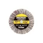 Abanico Lija Grano 60 Medida Diámetro 60 x 20 mm. Disco Abrasivo Laminas, Ruedas Mil Hojas Abanico Lija Grano 60 Medida Diámetro 60 x 20 mm. Disco Abrasivo Laminas, Ruedas Mil Hojas