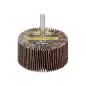 Abanico Lija Grano 40 Medida Diámetro 60 x 30 mm. Disco Abrasivo Laminas, Ruedas Mil Hojas Abanico Lija Grano 40 Medida Diámetro 60 x 30 mm. Disco Abrasivo Laminas, Ruedas Mil Hojas