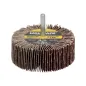 Abanico Lija Grano 120 Medida Diámetro 80 x 30 mm. Disco Abrasivo Laminas, Ruedas Mil Hojas Abanico Lija Grano 120 Medida Diámetro 80 x 30 mm. Disco Abrasivo Laminas, Ruedas Mil Hojas