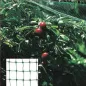 Malla Anti pájaros (Rollo 2 x 10 Metros) Red Proteger Arboles, Cultivos, Frutas. Malla Anti pájaros (Rollo 2 x 10 Metros) Red Proteger Arboles, Cultivos, Frutas.