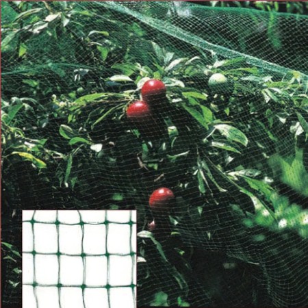 Malla Anti pájaros (Rollo 4 x 5 Metros) Red Proteger Arboles, Cultivos, Frutas.