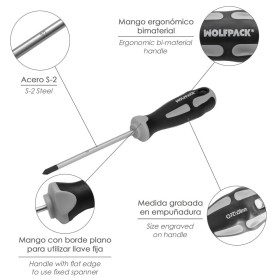 Destornillador Pozidriv Acero S2 Mango TPR Bimaterial. Medida pza. 1 x Diámetro 5 x 38 mm. DIN5262.