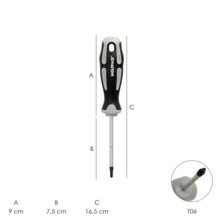 Destornillador Torx Acero S2 Mango TPR Bimaterial. Medida T06 x Diámetro 3,0 x 75 mm.