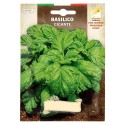 Semillas Aromáticas Albahaca Gigante (5 gramos) Horticultura, Hortícola, Semillas Huerto.