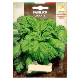 Semillas Aromáticas Albahaca Gigante (5 gramos) Horticultura, Hortícola, Semillas Huerto.