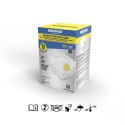 Mascarilla Respiratoria FFP2 Con Válvula. Plegable (20 Unidades) Envasadas Individualmente