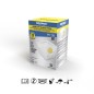 Mascarilla Respiratoria FFP2 Con Válvula. Plegable (20 Unidades) Envasadas Individualmente Mascarilla Respiratoria FFP2 Con Válvula. Plegable (20 Unidades) Envasadas Individualmente
