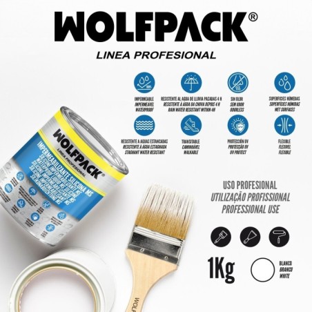 Impermeabilizante Silicona Ms Polymer Blanco 1 Kg. Silicona Liquida