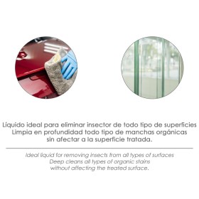 Elimina Insectos / Excrementos Pájaros Para Cristal / Lunas Parabrisas Coches 750 Ml. Insect Remover