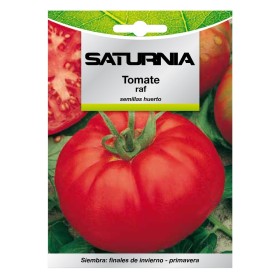Semillas Tomate Raf (1.5 gramos) Semillas Verduras, Horticultura, Hortícola, Semillas Huerto.