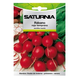 Semillas Rábano Rojo Temprano (8 gramos) Semillas Verduras, Horticultura, Hortícola, Semillas Huerto.
