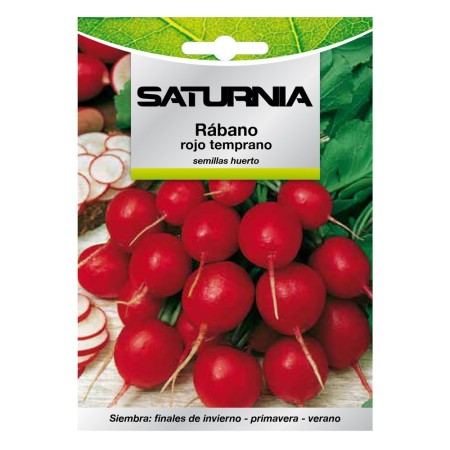 Semillas Rábano Rojo Temprano (8 gramos) Semillas Verduras, Horticultura, Hortícola, Semillas Huerto.