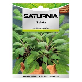 Semillas Aromáticas Salvia (1 gramo) Horticultura, Hortícola, Semillas Huerto.