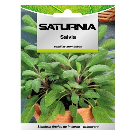 Semillas Aromáticas Salvia (1 gramo) Horticultura, Hortícola, Semillas Huerto.