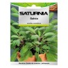 Semillas Aromáticas Salvia (1 gramo) Horticultura, Hortícola, Semillas Huerto.