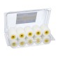 Rodillo Espuma Recambio Para Esmalte Acrílico 50 mm. Set 10 Rodillos. Rodillo Espuma, Rodillo Pintura Acrílica Rodillo Espuma Recambio Para Esmalte Acrílico 50 mm. Set 10 Rodillos. Rodillo Espuma, Rodillo Pintura Acrílica
