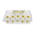 Rodillo Espuma Recambio Para Esmalte Acrílico 50 mm. Set 10 Rodillos. Rodillo Espuma, Rodillo Pintura Acrílica